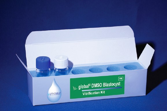 LIFEGLOBAL. DMV5-005. DMSO Blastocyst Vitrification Kit – APB Global US